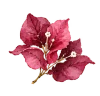 Flor